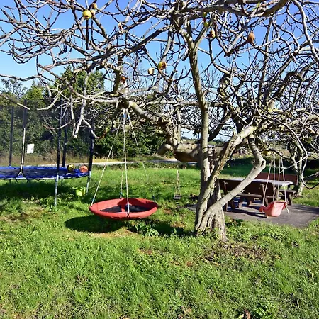 Ground-floor Retreat Surrounded By Nature * Bašanija
