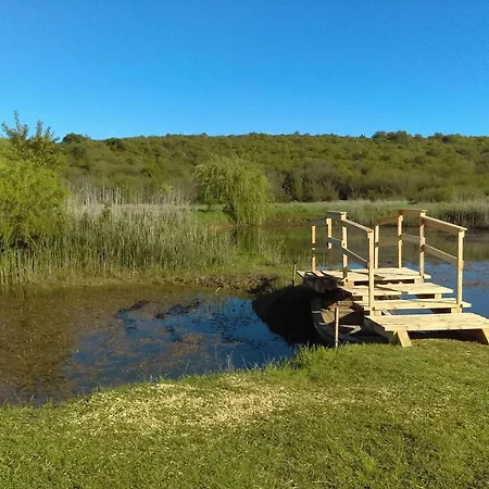 Ground-floor Retreat Surrounded By Nature * Bašanija